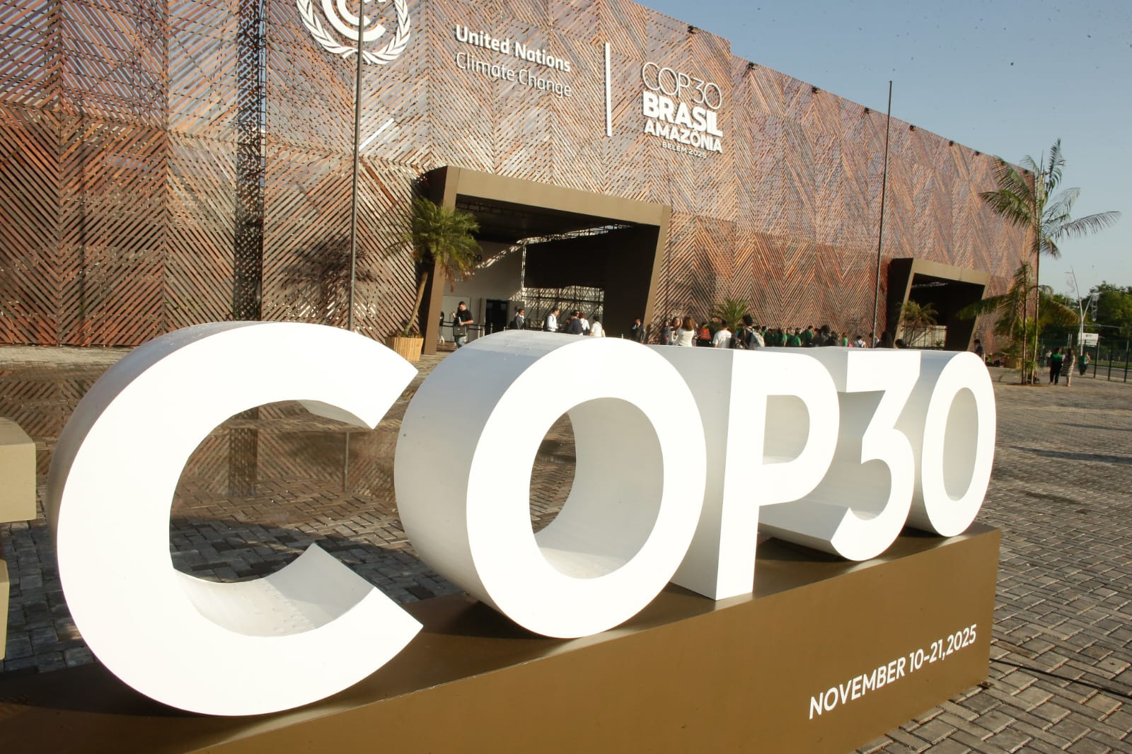 Unpacking COP30:  Progress, Problems and the Path Forward